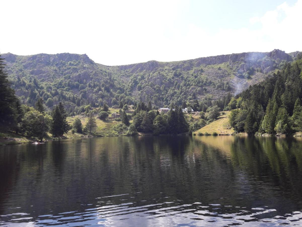 Munster Camping De La Fecht Dış mekan fotoğraf