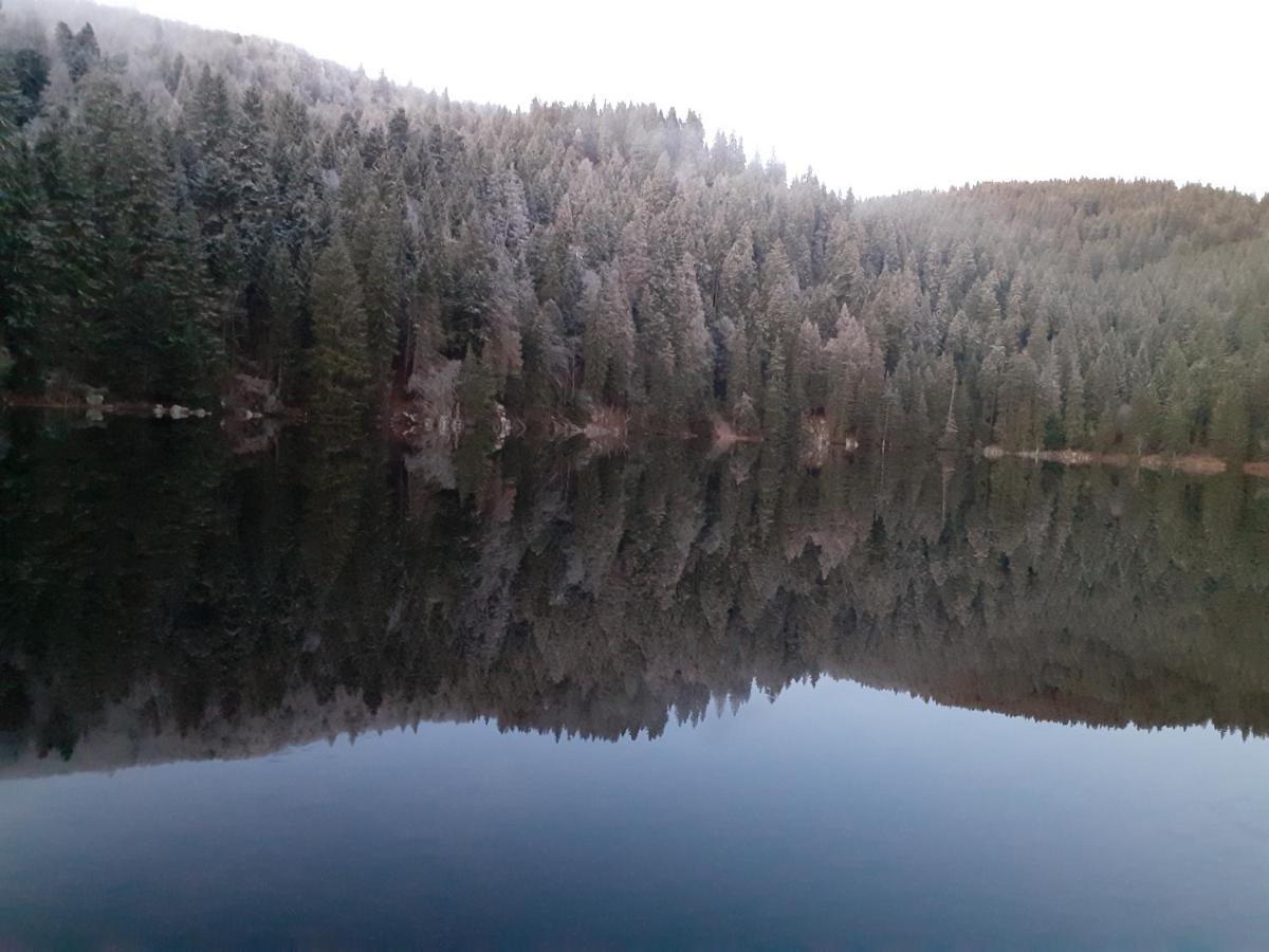 Munster Camping De La Fecht Dış mekan fotoğraf
