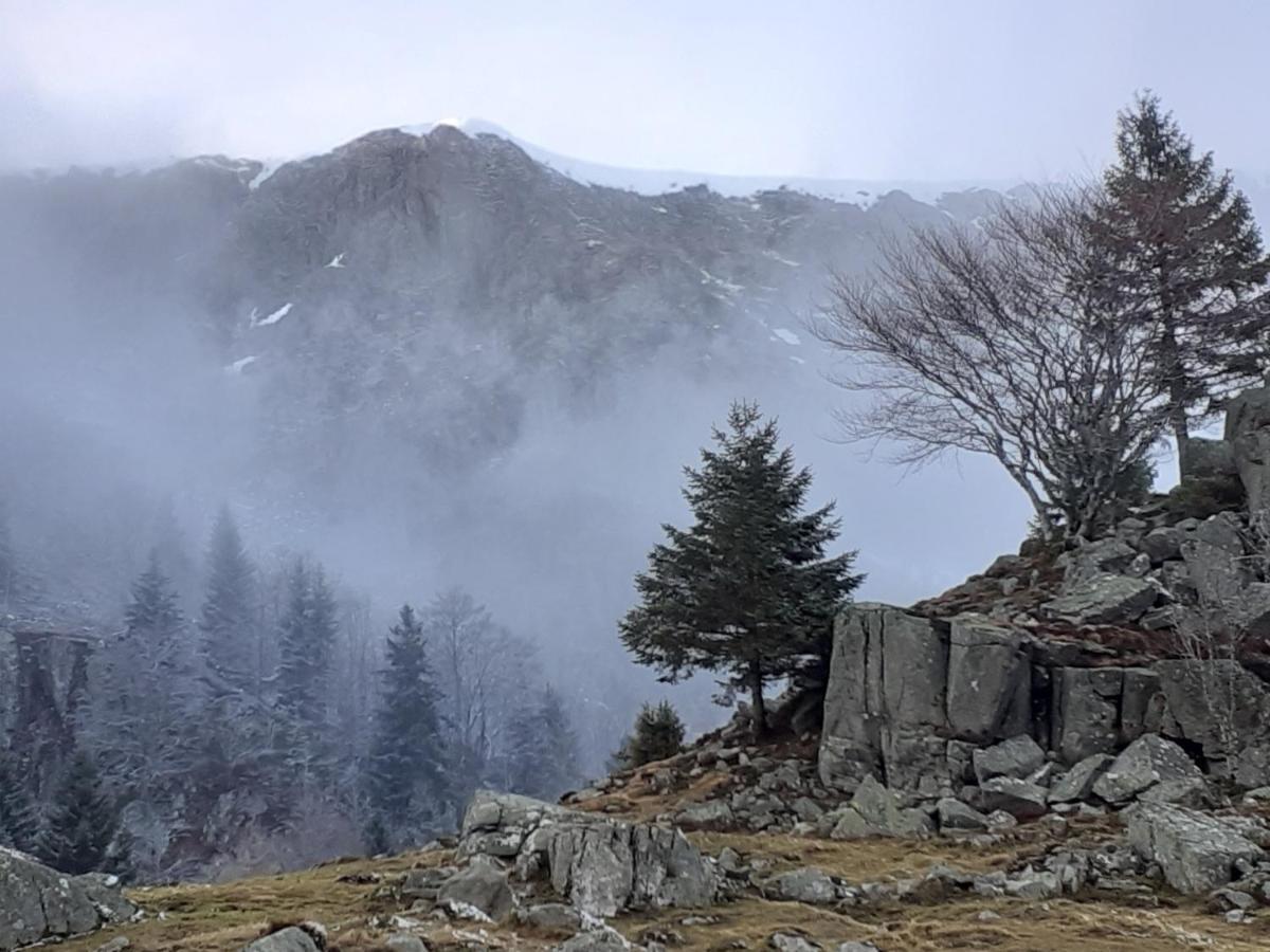 Munster Camping De La Fecht Dış mekan fotoğraf