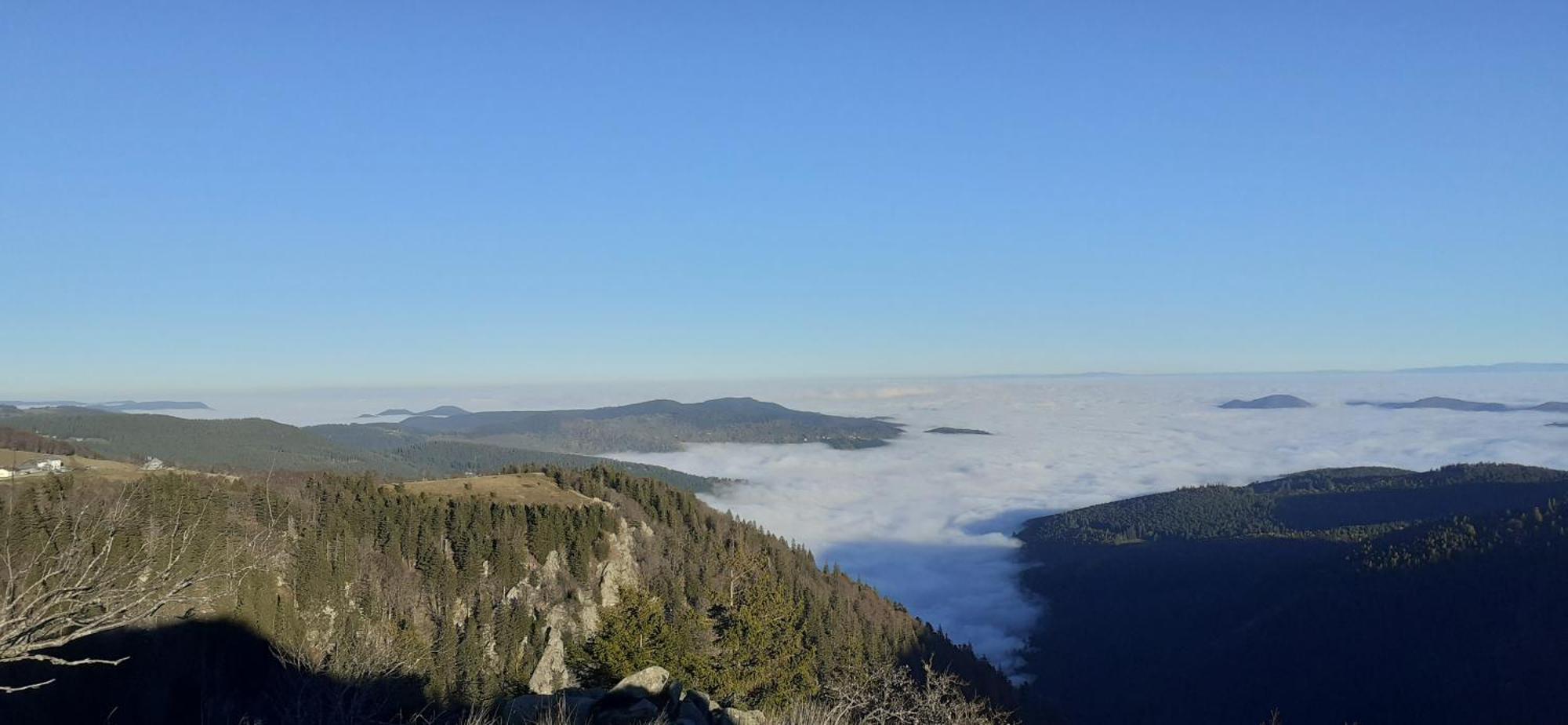 Munster Camping De La Fecht Dış mekan fotoğraf