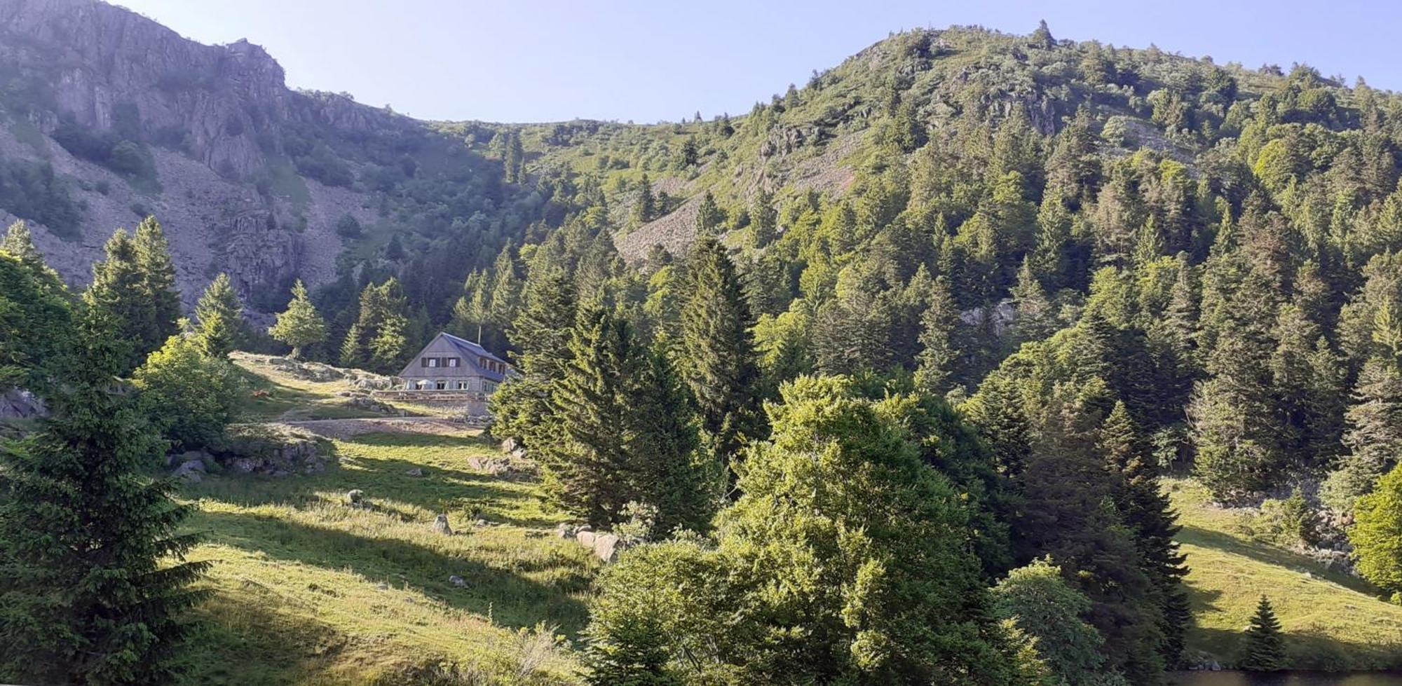 Munster Camping De La Fecht Dış mekan fotoğraf