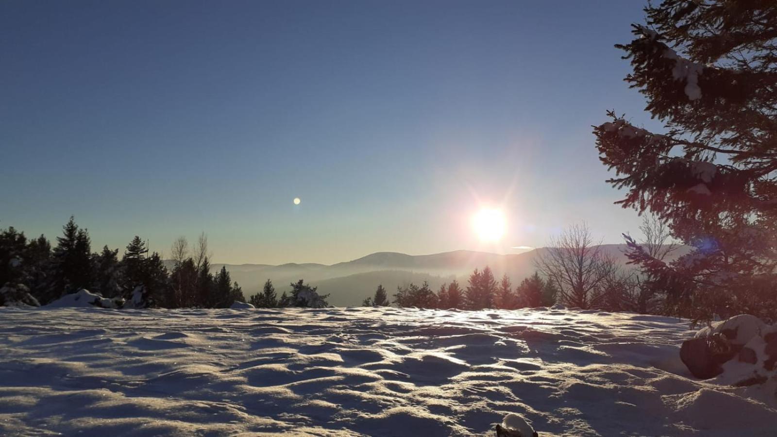 Munster Camping De La Fecht Dış mekan fotoğraf