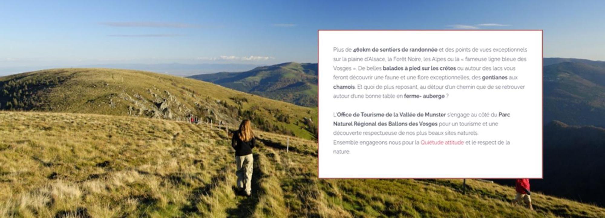 Munster Camping De La Fecht Dış mekan fotoğraf